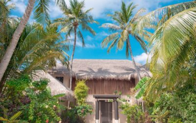 Top 5 des hébergements écoresponsables pour un séjour durable